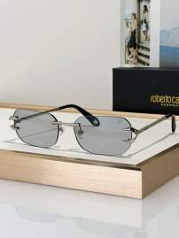 Picture of Roberto Cavalli Sunglasses _SKUfw79280013fw